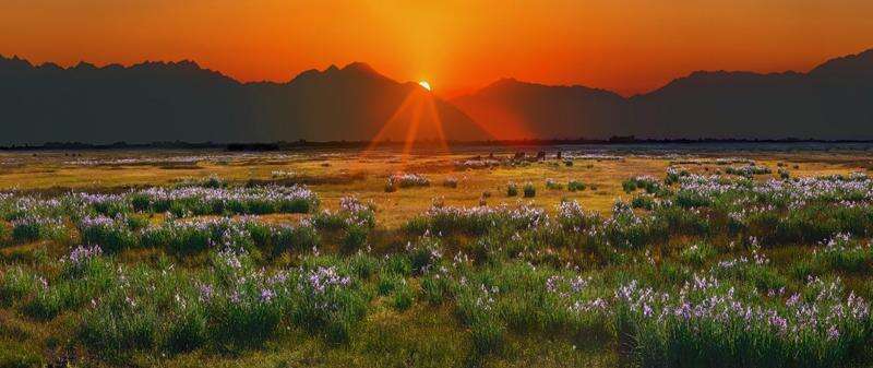 Alamosa National Wildlife Refuge