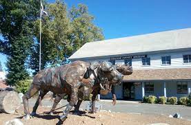 Siskiyou County Museum 2